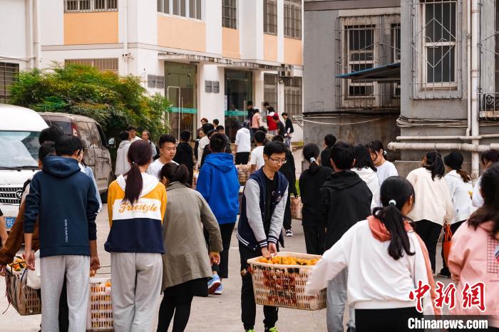 大学生四年爱心义卖助橘农渡难关