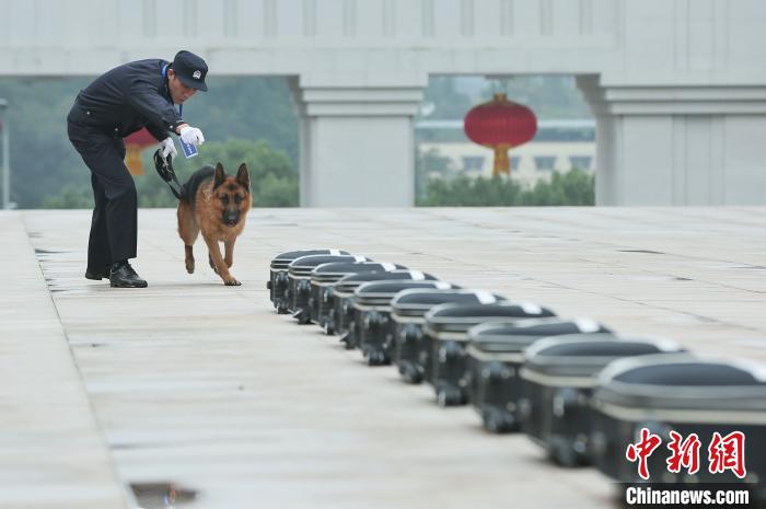 重庆公安开展警犬技术实战比武21条“警汪”秀搜爆绝技