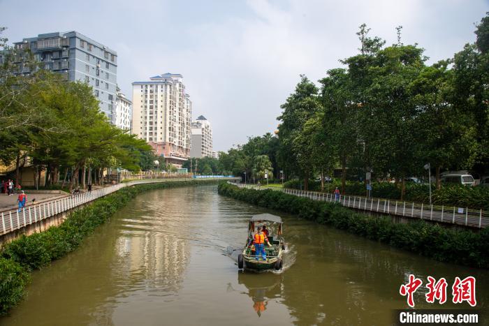 海口污水河蝶变湿地公园水清岸绿白鹭飞