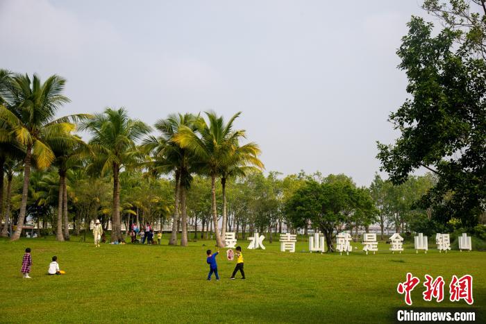 海口污水河蝶变湿地公园水清岸绿白鹭飞