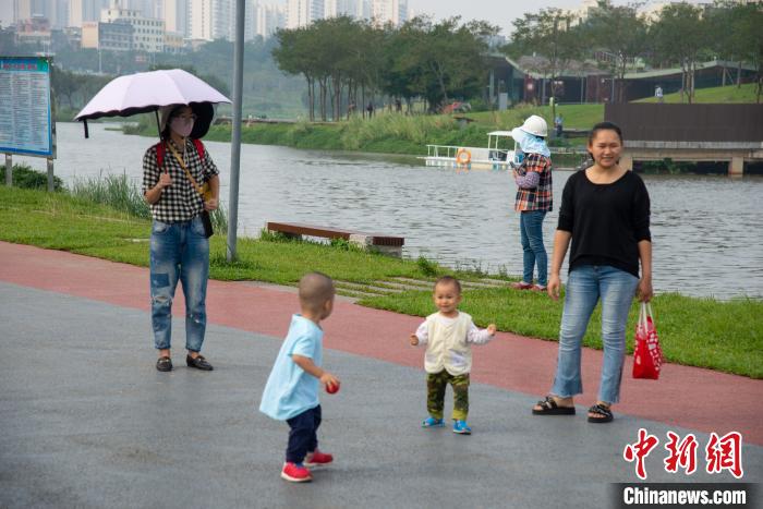 海口污水河蝶变湿地公园水清岸绿白鹭飞