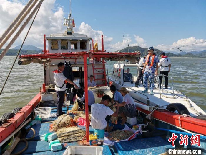 广东连续3个月在粤东海域查获跨海区作业案件73宗