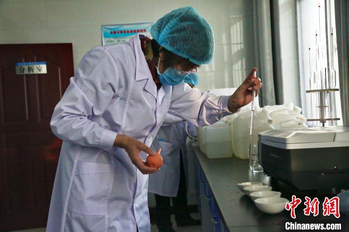 从“驴驮水”到户户通自来水宁夏西吉因水新生