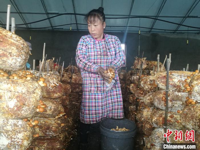 通讯：内蒙古“务工之家”：“美好生活是干出来的！”