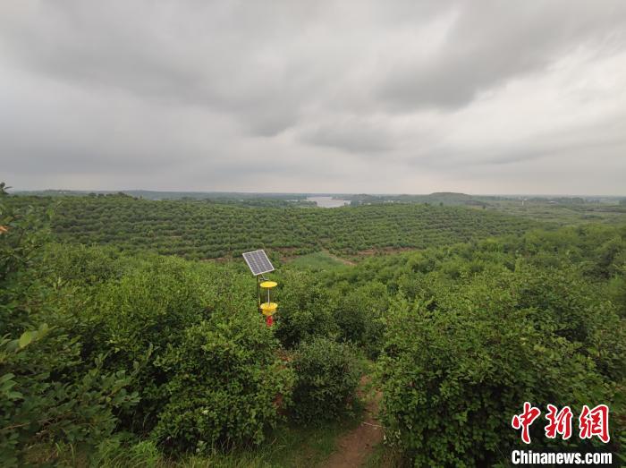 脱贫攻坚路上小故事：先锋凝聚榜样力量