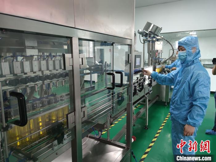 脱贫攻坚路上小故事：先锋凝聚榜样力量