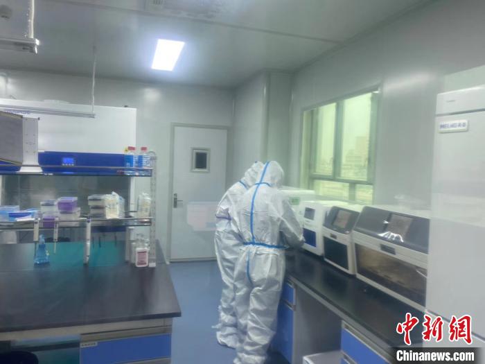 新疆喀什核酸检测：“高频次”中做到“高效率”