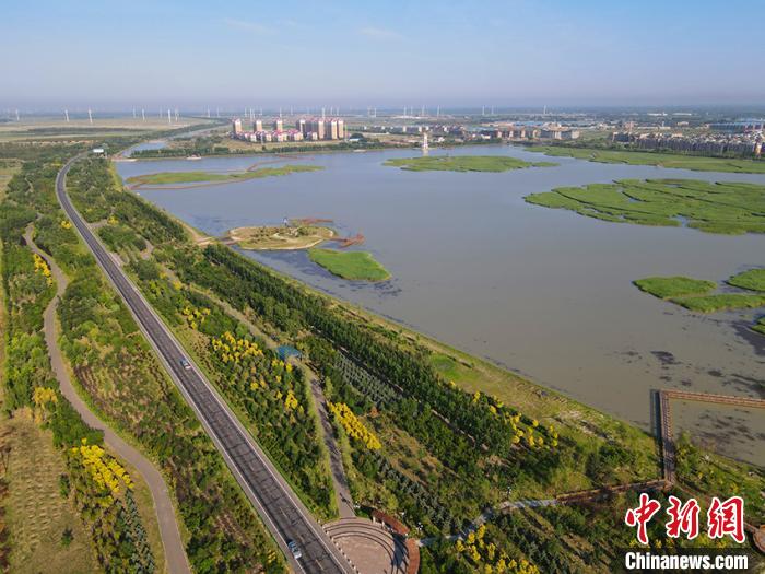 “八百里瀚海”今不在“中国白鹤之乡”重现鹤舞盛况