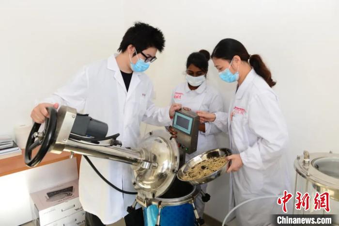 “针灸推拿+中医内科”中国传统医学毛里求斯受热捧