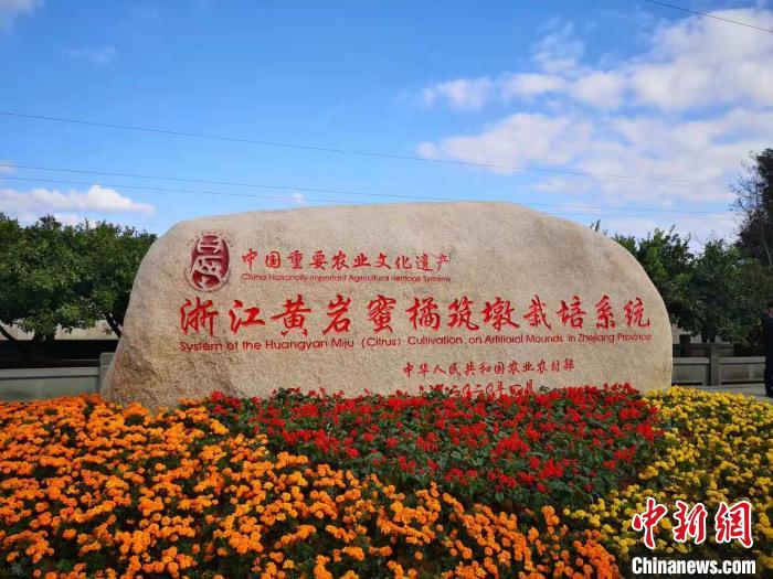 中国农科院柑桔研究所：中国是世界蜜橘的起源地