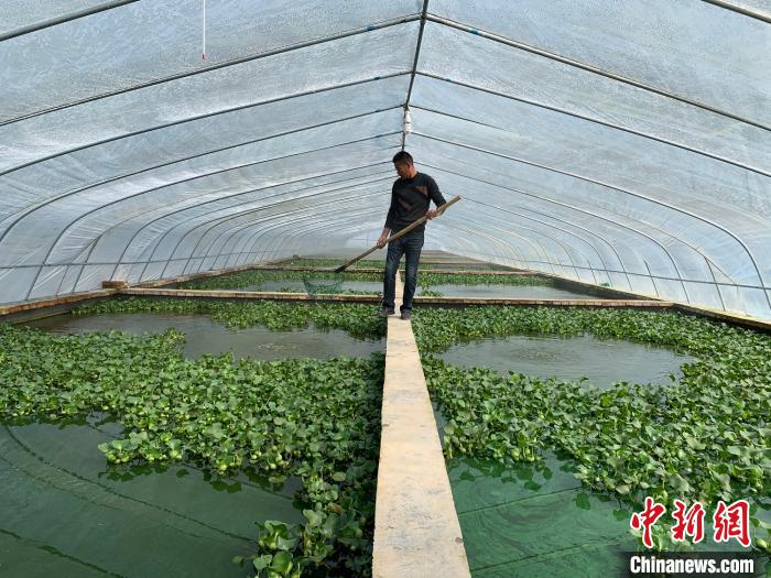 “江湖”不再见：鄱阳湖世代“水上漂”的上岸新生活