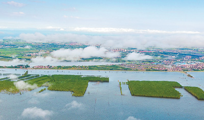 水清鱼丰，更添新滋味（大江大河·关注长江禁渔②）