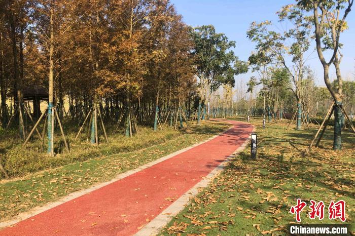 湖北江陵：长江岸线腾退复绿滨江景观带绵延十里