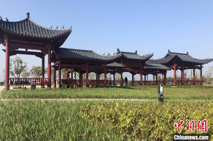 湖北江陵：长江岸线腾退复绿滨江景观带绵延十里