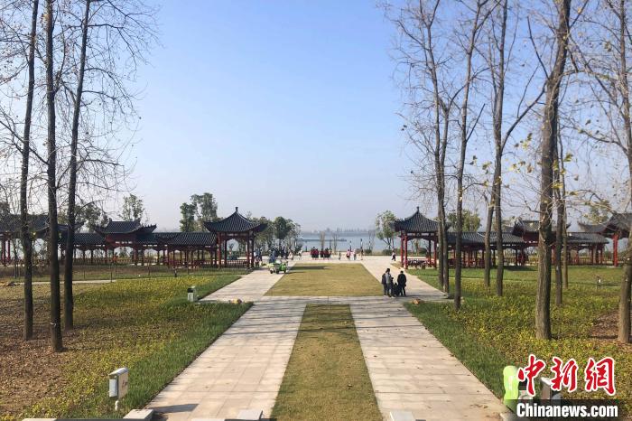 湖北江陵：长江岸线腾退复绿滨江景观带绵延十里