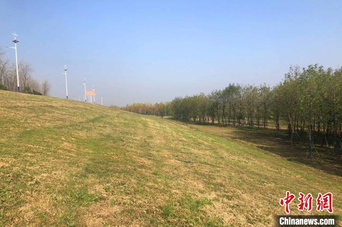 湖北江陵：长江岸线腾退复绿滨江景观带绵延十里