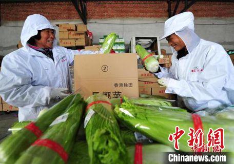 河北建立冷链食品追溯管理系统加强进口冷链食品监管