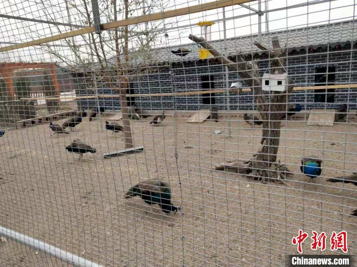 外出打工开眼界返乡创业富乡邻