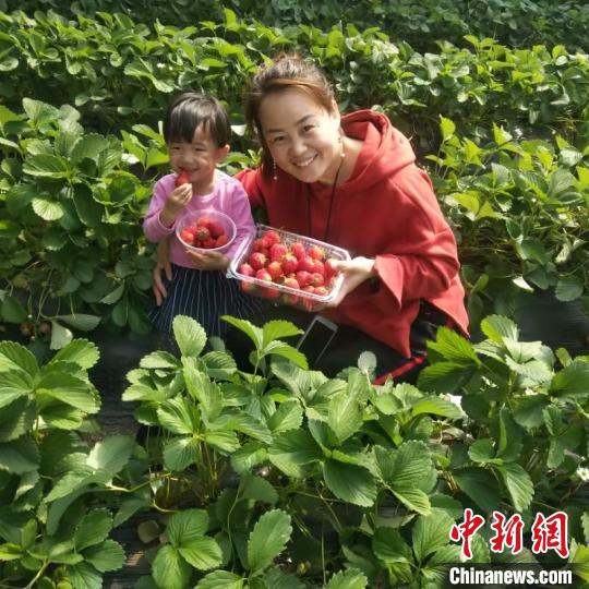 外出打工开眼界返乡创业富乡邻