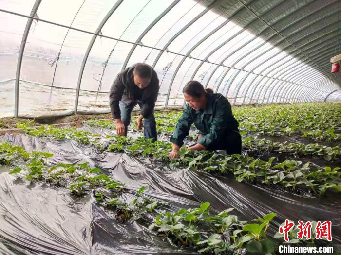 外出打工开眼界返乡创业富乡邻