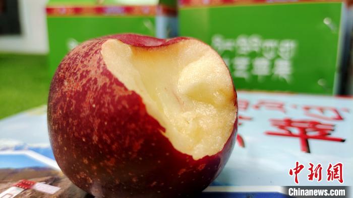 独立这个村“苹”实力年赚60万元巩固脱贫成果