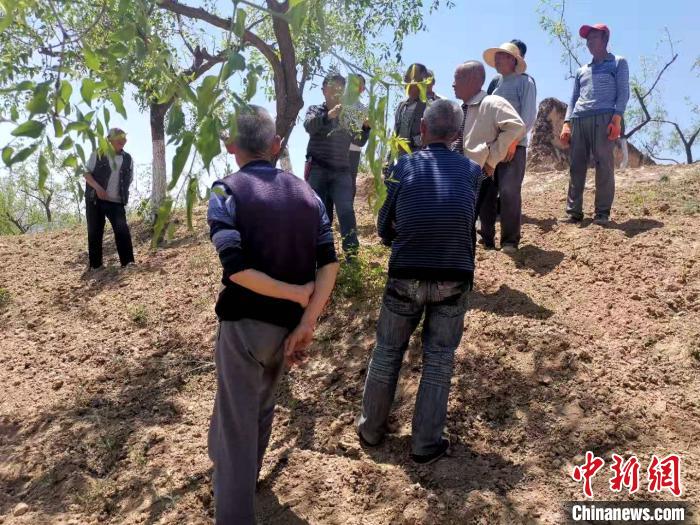 昔日荒山“化身”绿水青山山西临县借生态资源助乡村振兴