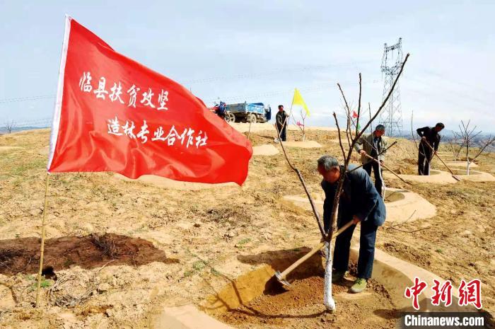 昔日荒山“化身”绿水青山山西临县借生态资源助乡村振兴
