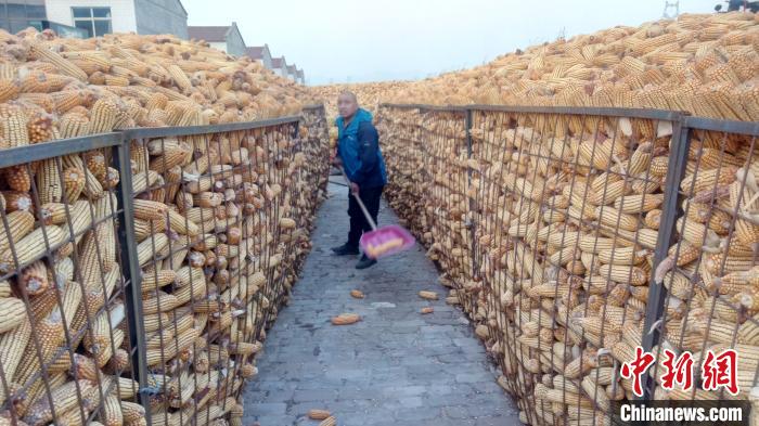 山西农民成立“家庭农场”致富为乡村振兴开辟新路径