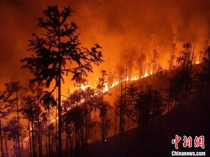 福建三明突发森林火灾消防紧急扑救