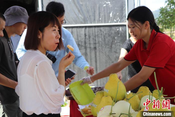 梅州梅江区太平村：现代化农业种植铺就脱贫致富路
