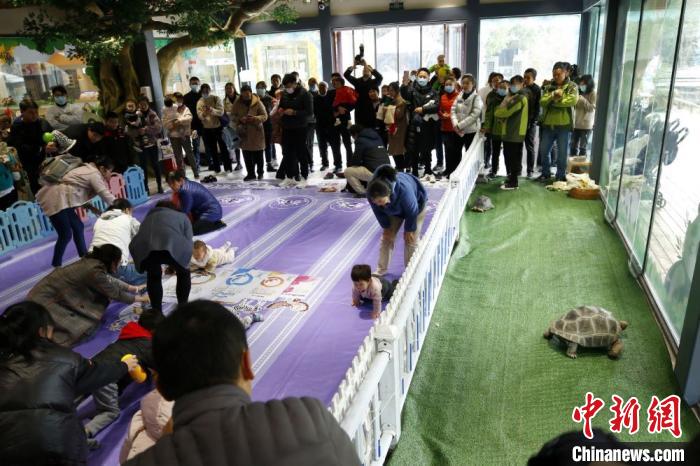 孩子王PK百兽之王常州动物世界举行别开生面爬行大赛