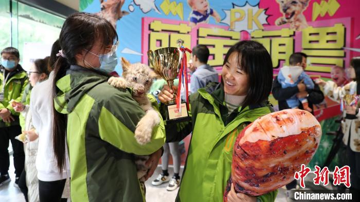 孩子王PK百兽之王常州动物世界举行别开生面爬行大赛