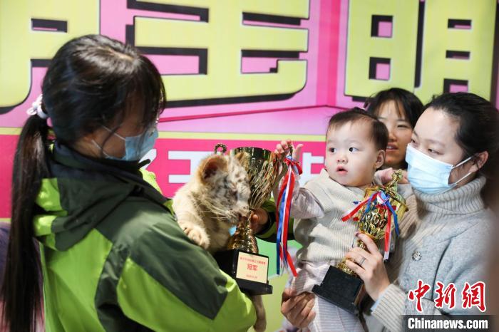 孩子王PK百兽之王常州动物世界举行别开生面爬行大赛