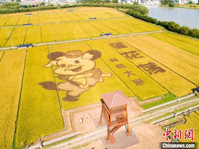江苏宜兴生态“觉醒”绘就美好生活新画卷