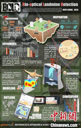 用生物技术排地雷东北林业大学学子斩获国际金奖