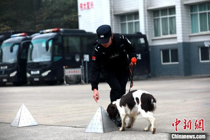 湖北襄阳23岁带犬女警：希望早日训导出功勋犬