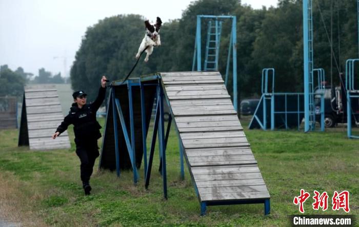 湖北襄阳23岁带犬女警：希望早日训导出功勋犬
