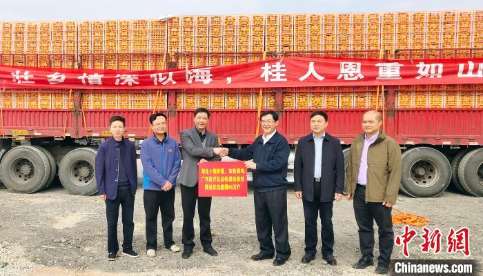 湖北十堰赠送40万斤武当蜜桔给广西援鄂医护人员