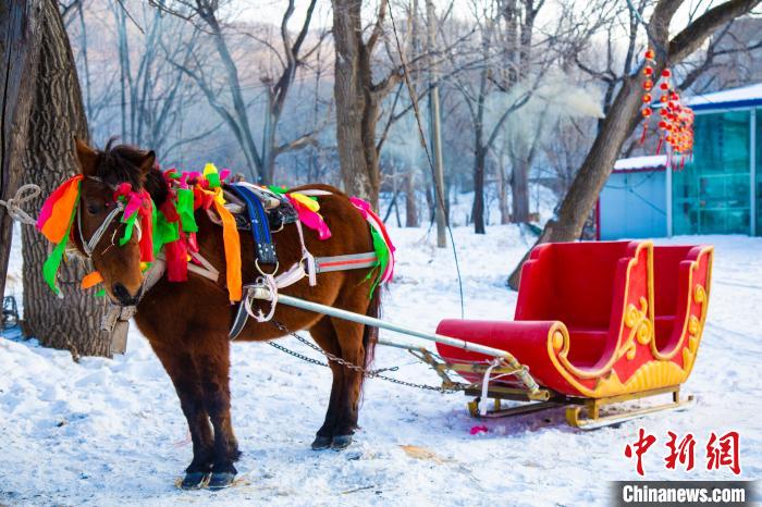 中国北疆玉泉狩猎场嬉雪谷开放引八方游客欢乐嬉雪