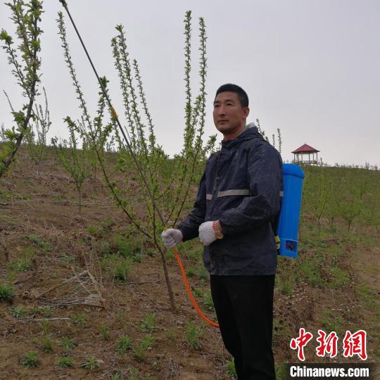 村支书带领乡亲“改造”家乡：花海铺就致富路