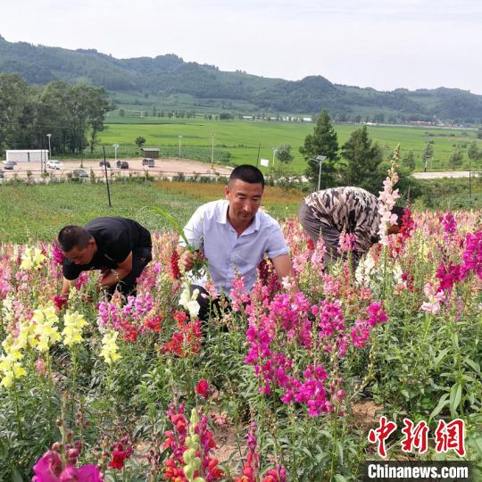 村支书带领乡亲“改造”家乡：花海铺就致富路
