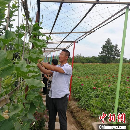 村支书带领乡亲“改造”家乡：花海铺就致富路