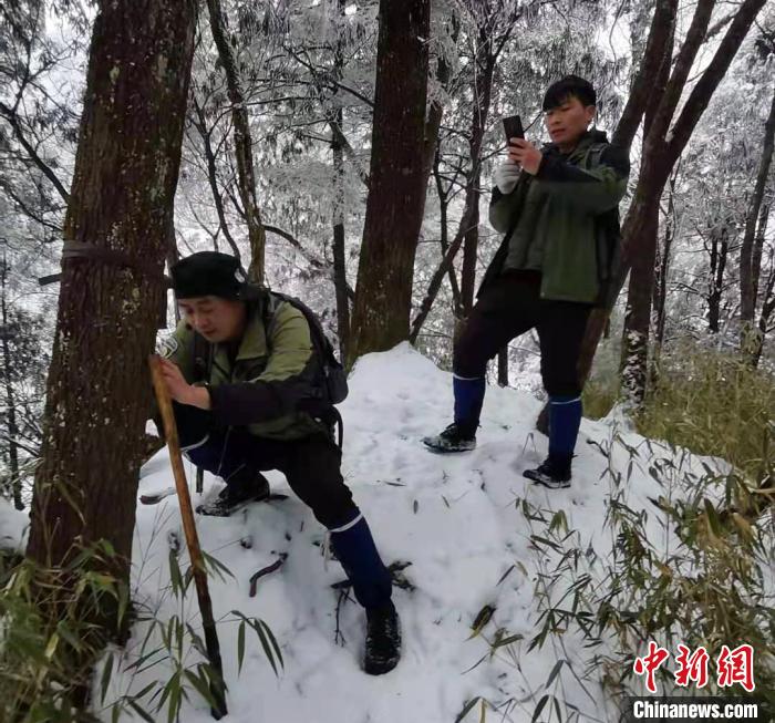 大熊猫国家公园唐家河片区又现萌主“大熊猫”