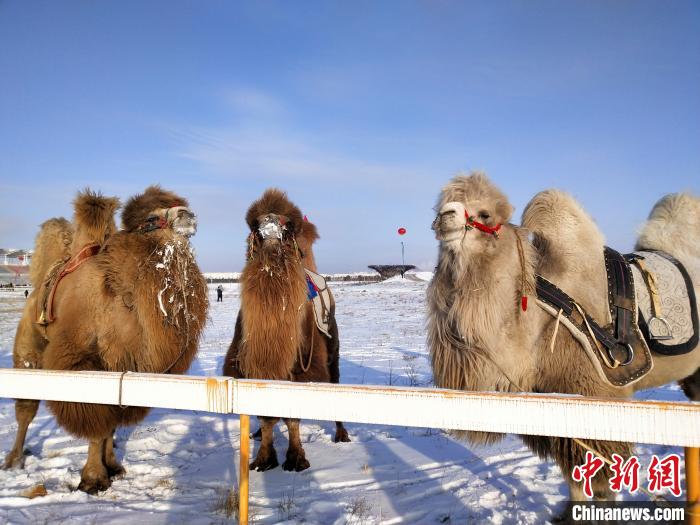 鄂温克冬季马赛-30℃极寒开赛：寒冬中的火热派对