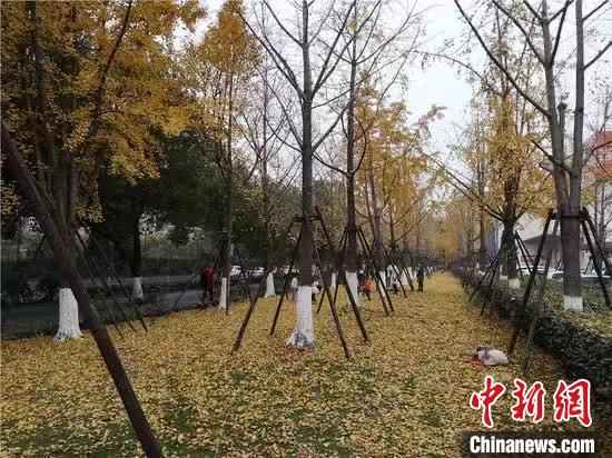 强寒潮来袭浙江启动低温雨雪冰冻灾害Ⅳ级应急响应