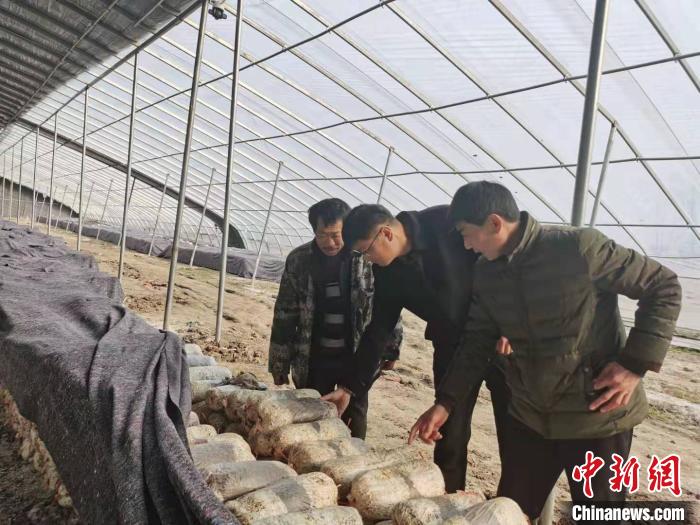 大别山区贫困村的致富经：筑牢产业根基构建乡村振兴高楼