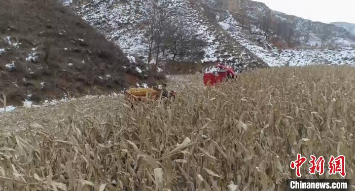 “空壳村”土地撂荒何解？山西石楼加码农地托管促农业提档升级