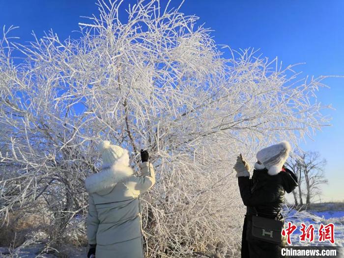 雾凇城里“雾凇村”：新年雾凇迎客忙