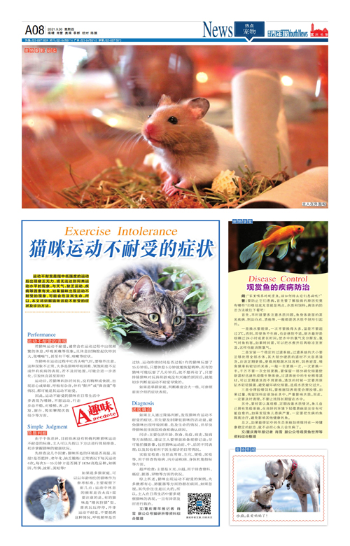 A08-猫咪运动不耐受的症状