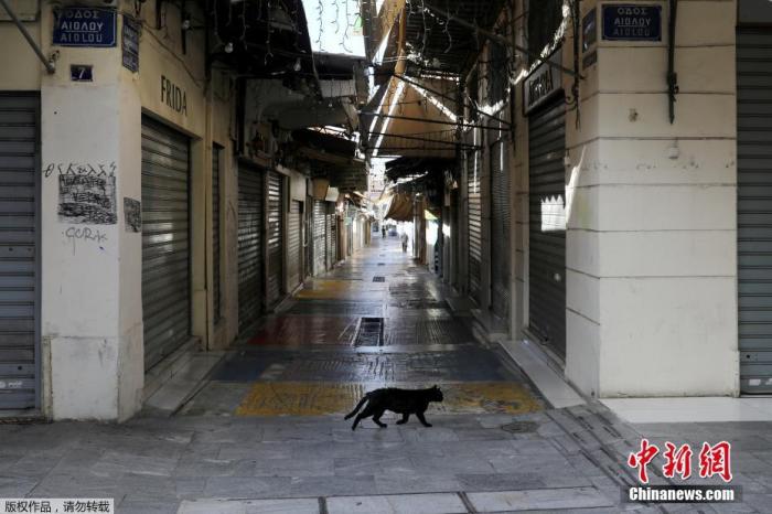 资料图：希腊雅典，一只猫在空荡的商业街上漫步。